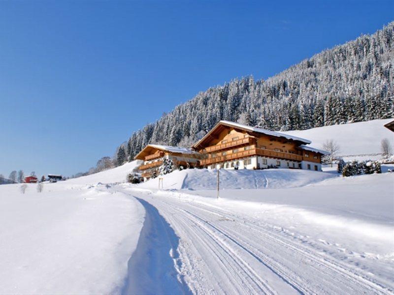 Ferienhaus And Reiterhof Poettler Flachau Dış mekan fotoğraf