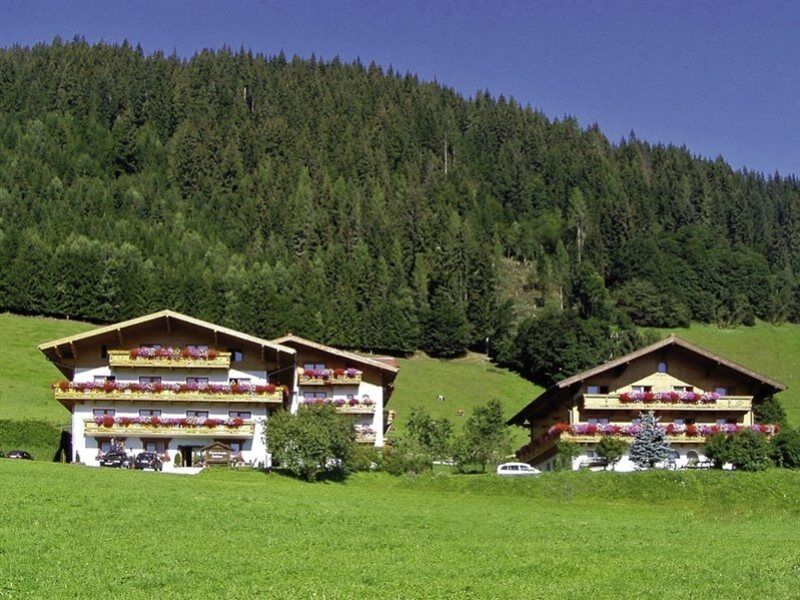 Ferienhaus And Reiterhof Poettler Flachau Dış mekan fotoğraf